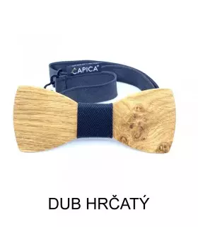 motýlek, dřevo, dub hrčatý
